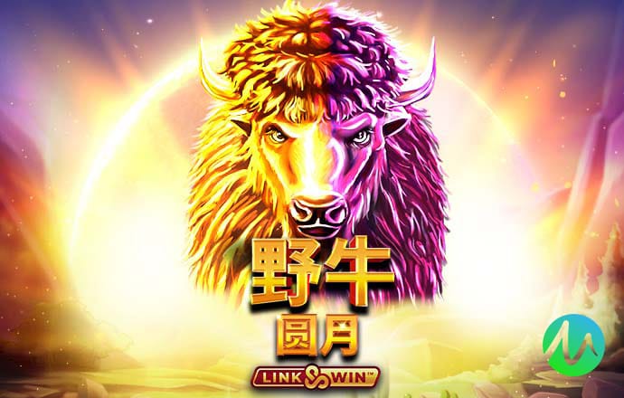 野马赛车挑战赛